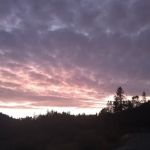 Grants Pass Over-Niters