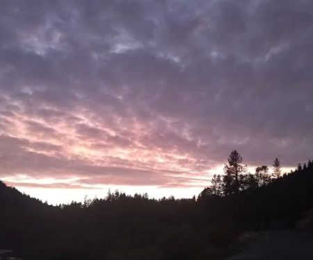 Grants Pass Over-Niters