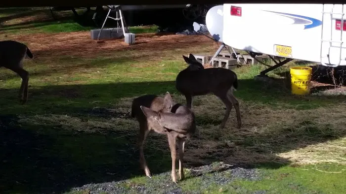 Grants Pass Over-Niters Picture 10