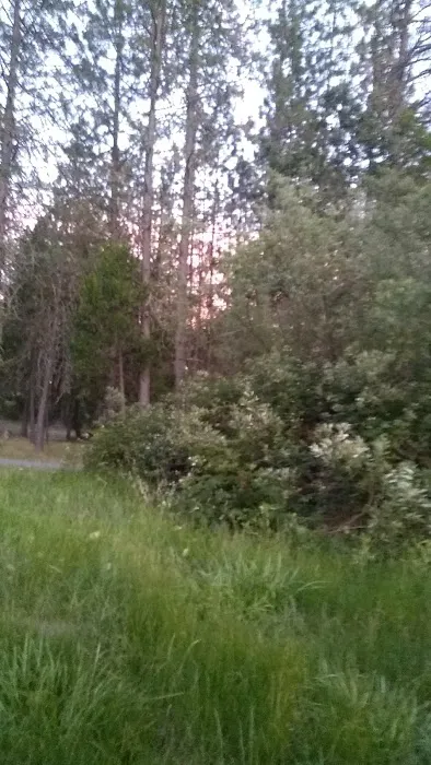 Grants Pass Over-Niters Picture 5