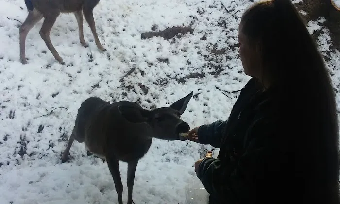 Grants Pass Over-Niters Picture 8