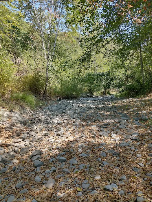 Beavercreek RV Resort Picture 8