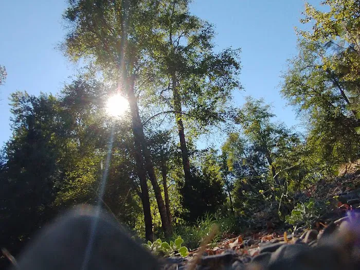 Beavercreek RV Resort Picture 4