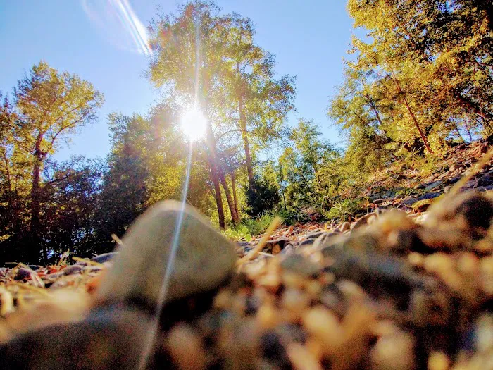 Beavercreek RV Resort Picture 10