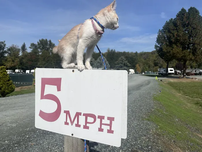 Beavercreek RV Resort Picture 1