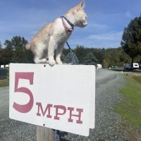 Beavercreek RV Resort ico