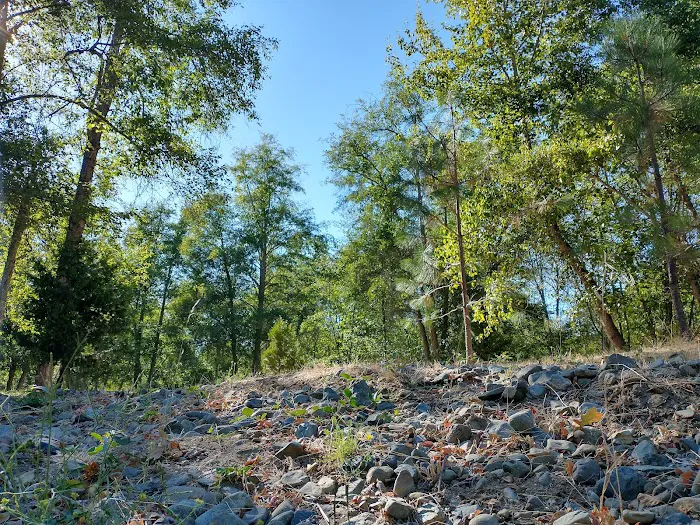 Beavercreek RV Resort Picture 7