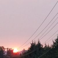 Twin Pines RV Park ico