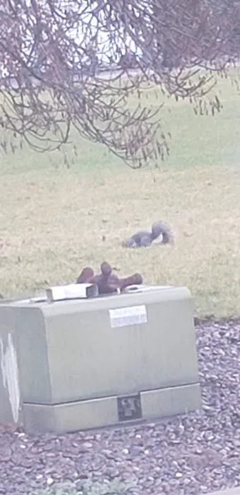 Country View Mobile Home Park Picture 3