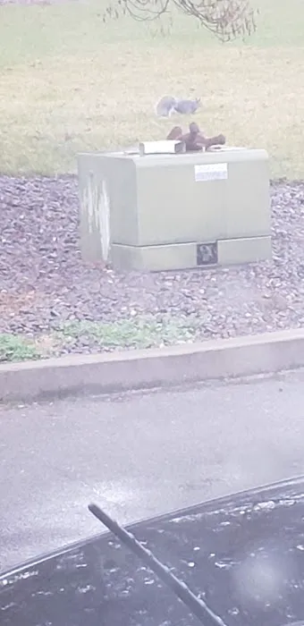 Country View Mobile Home Park Picture 5