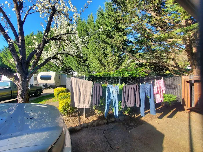 Jack's Landing RV Resort Picture 5