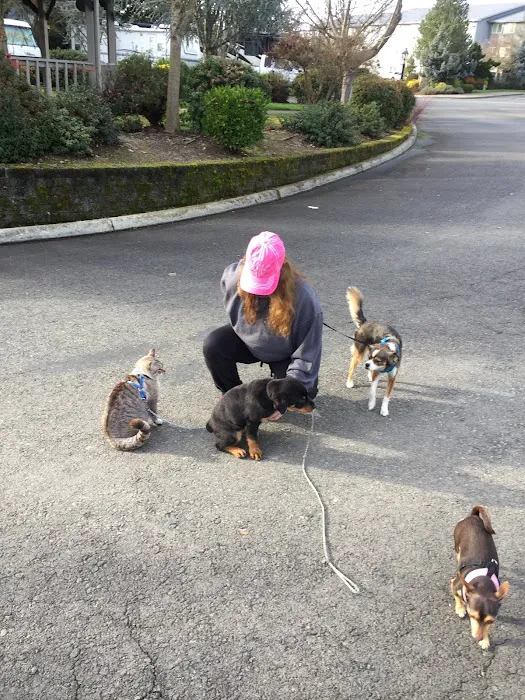 Jack's Landing RV Resort Picture 6