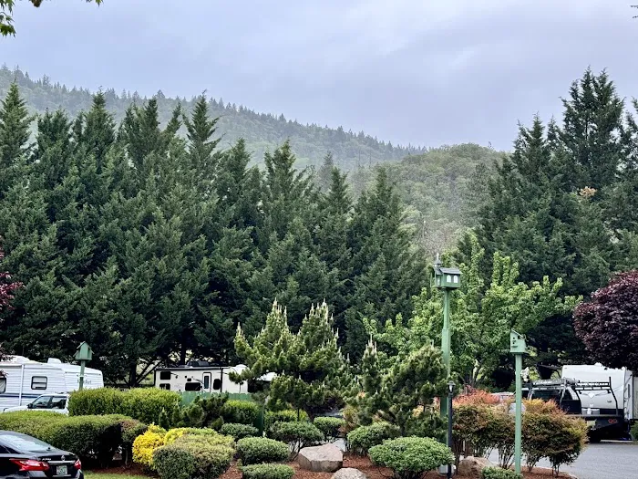 Jack's Landing RV Resort Picture 7