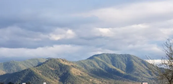 Jack's Landing RV Resort Picture 8