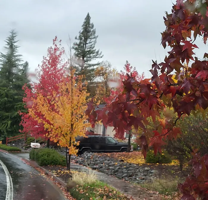 Rogue Valley Overnighter RV Picture 5