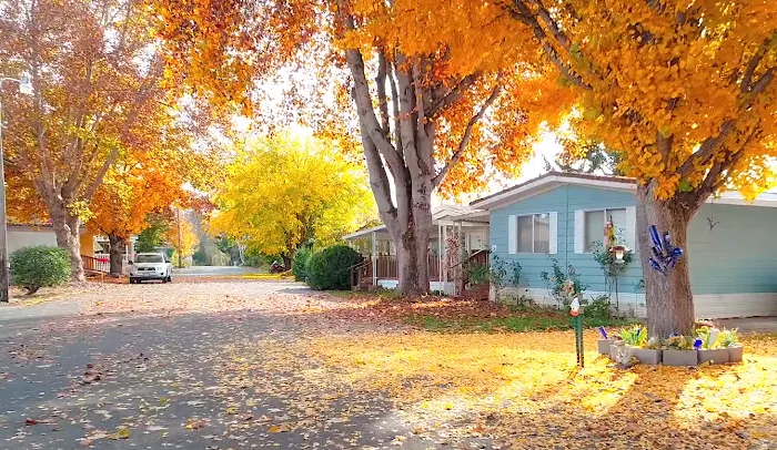 Country Estates Picture 10