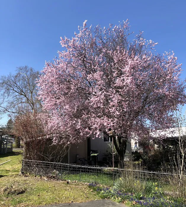 River heaven Picture 5