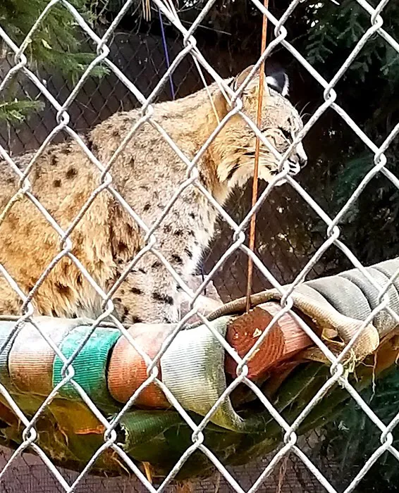 Royal Trailer Park Picture 9