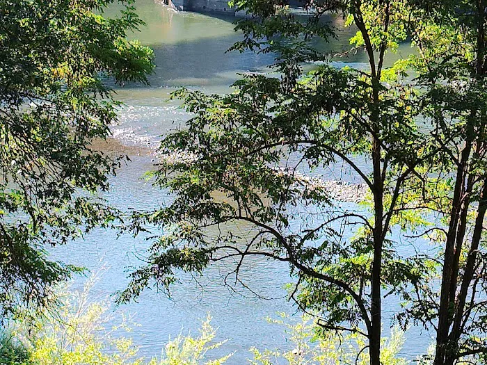 Royal Trailer Park Picture 8