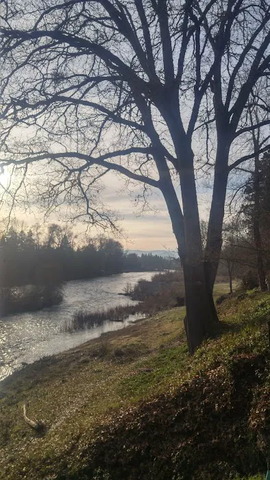 Royal Trailer Park Picture 10