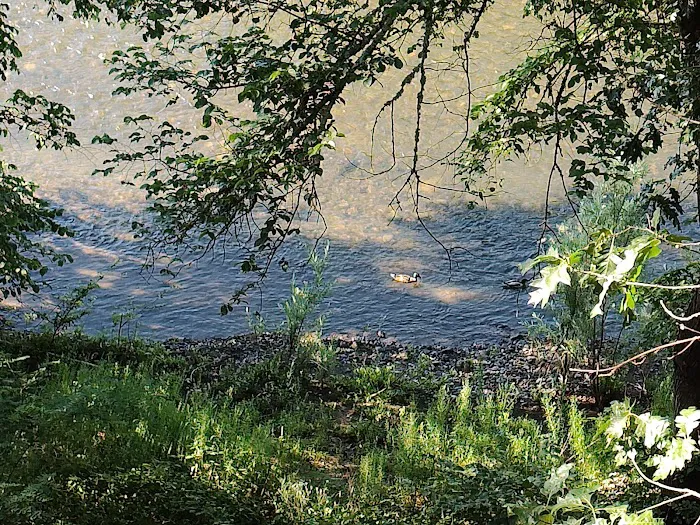 Royal Trailer Park Picture 6