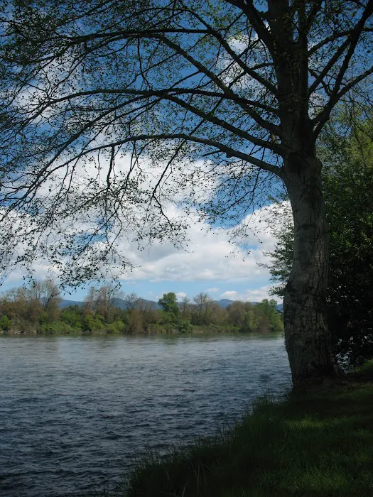 Rogue Lea Estates Picture 7