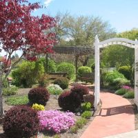 Rogue Lea Estates ico