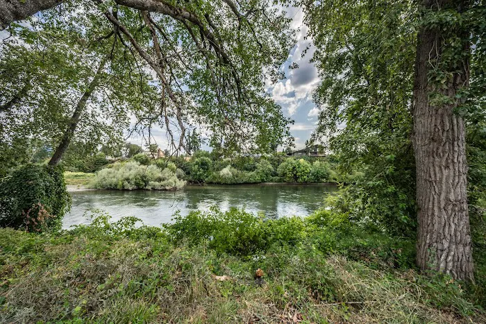 Rogue Lea Estates Picture 12