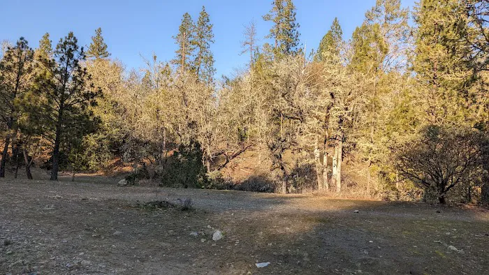 Moon Mountain RV Resort Picture 2