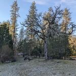 Moon Mountain RV Resort