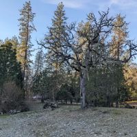 Moon Mountain RV Resort ico