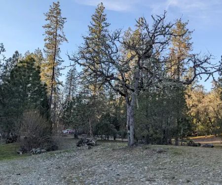 Moon Mountain RV Resort