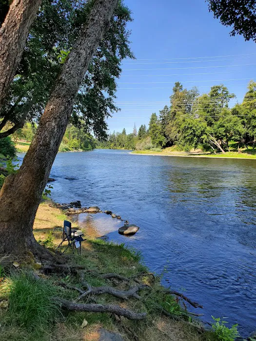 River Park RV Resort Picture 5