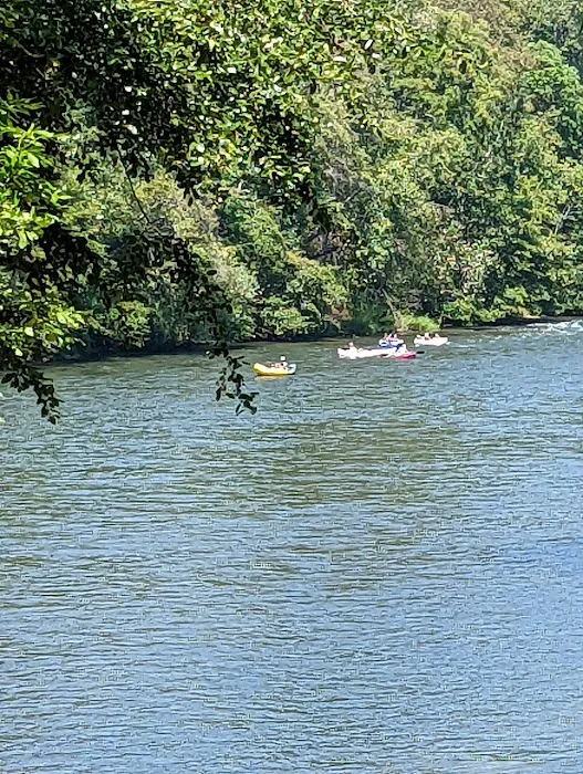 River Park RV Resort Picture 4