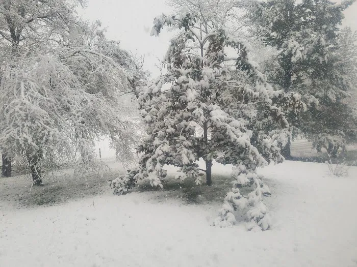 Circle Tree Mobile Park Picture 2