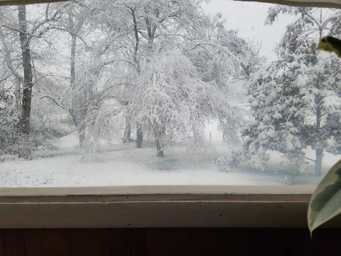 Circle Tree Mobile Park Picture 1