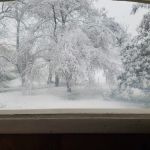 Circle Tree Mobile Park