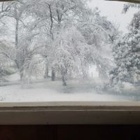 Circle Tree Mobile Park ico