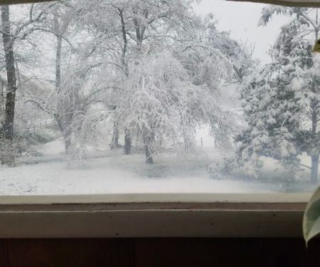 Circle Tree Mobile Park