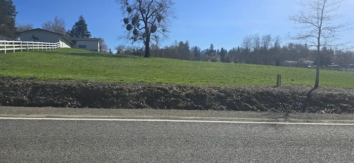 Circle Tree Mobile Park Picture 4