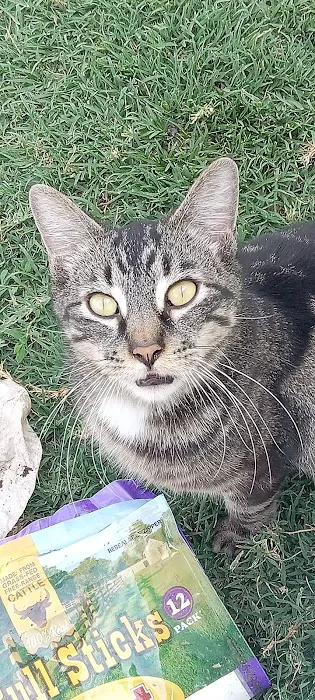 Grants Pass Mobile Home Park Picture 1