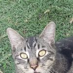 Grants Pass Mobile Home Park