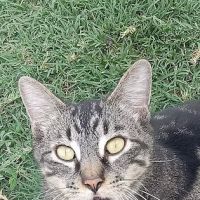 Grants Pass Mobile Home Park ico