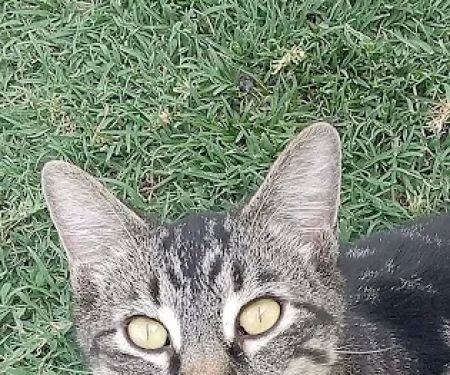 Grants Pass Mobile Home Park