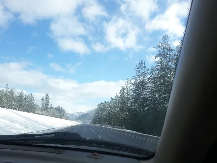 Riverfront RV Park Picture 6