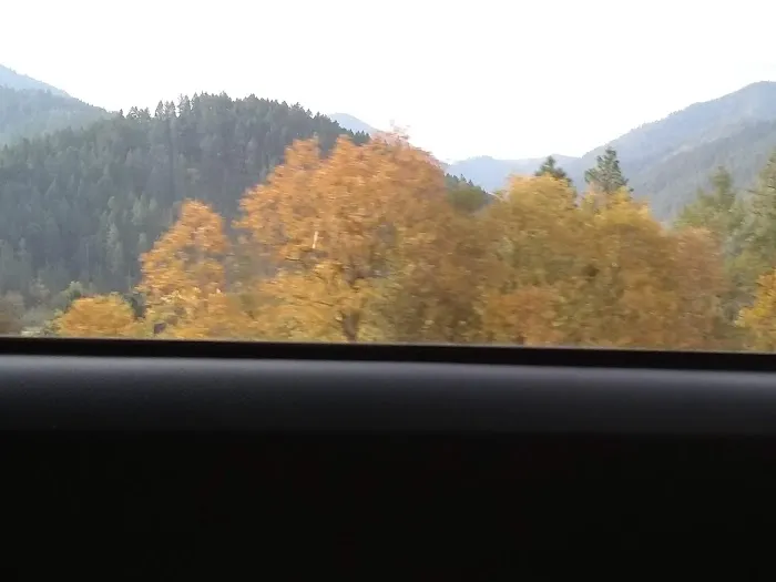 Riverfront RV Park Picture 5