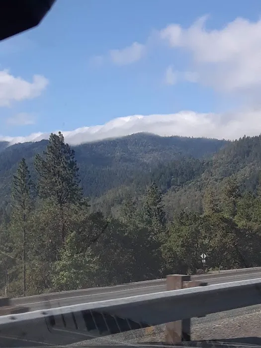 Riverfront RV Park Picture 7