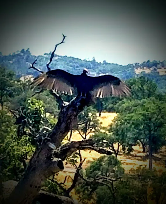 Chinook Winds RV Park Picture 6