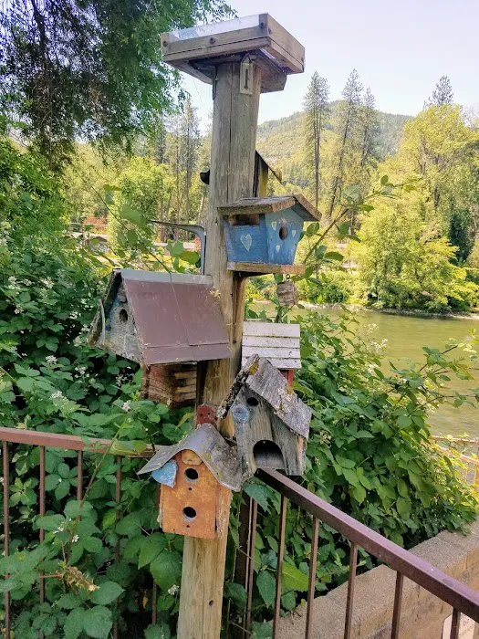 Chinook Winds RV Park Picture 7