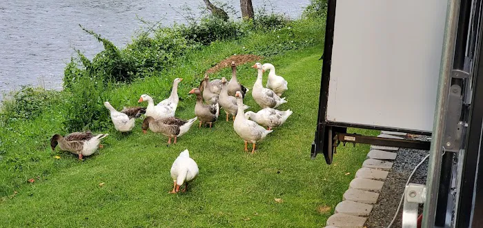 Bridgeview RV Resort Picture 1